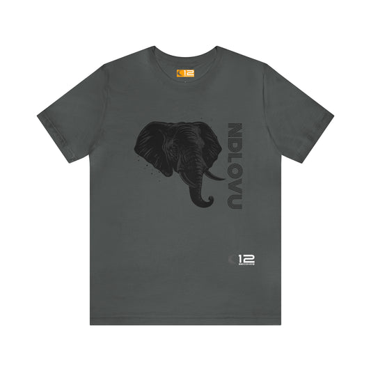 Jersey Short Sleeve Tee - NDLOVU - 12 SECONDS APPAREL